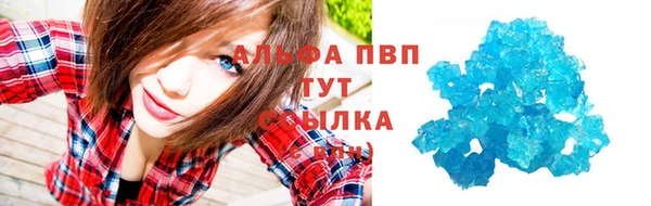 сатива Сатка