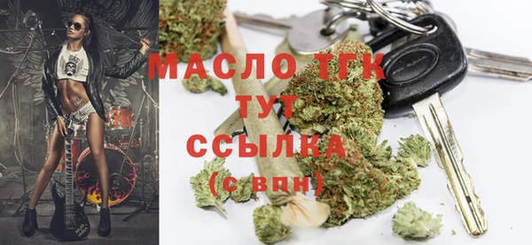 сатива Сатка