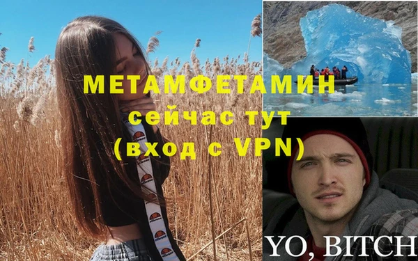 мяу мяу мука Гвардейск