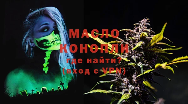 сатива Сатка