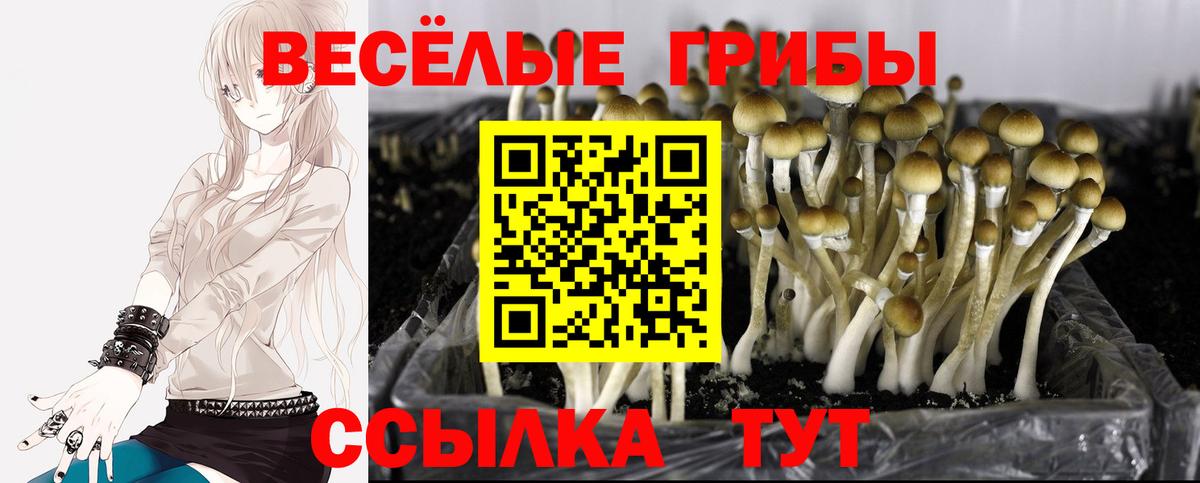 Галлюциногенные грибы Cubensis  Вход с VPN  цена   Белорецк 