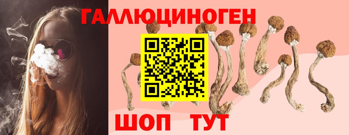 Галлюциногенные грибы Psilocybine cubensis  Галлюциногенные грибы мицелий  Белорецк 